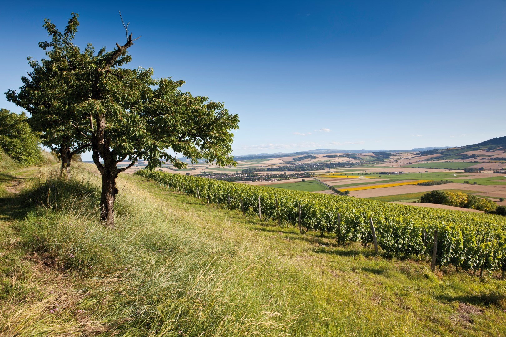 Hommes & Terroirs