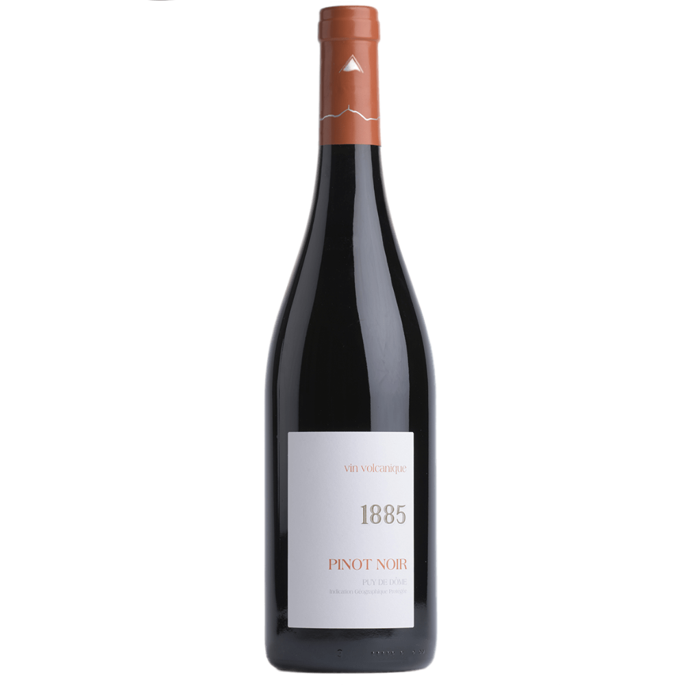 Pinot Noir 1885