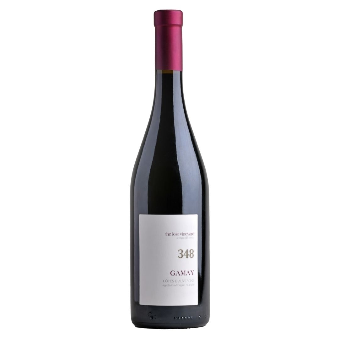 Gamay 348